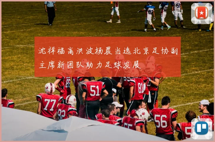 沈祥福高洪波杨晨当选北京足协副主席新团队助力足球发展