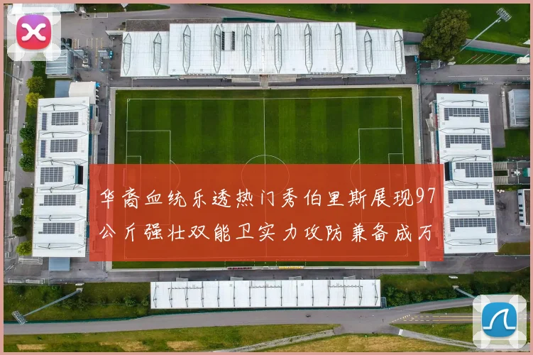 华裔血统乐透热门秀伯里斯展现97公斤强壮双能卫实力攻防兼备成万金油之选
