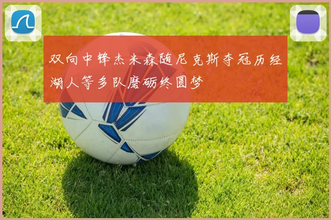 双向中锋杰米森随尼克斯夺冠历经湖人等多队磨砺终圆梦